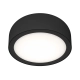 Plafon Cedrone PL Nero 12 CCT OR85891 OPEN DESIGN HIGHLIGHTS